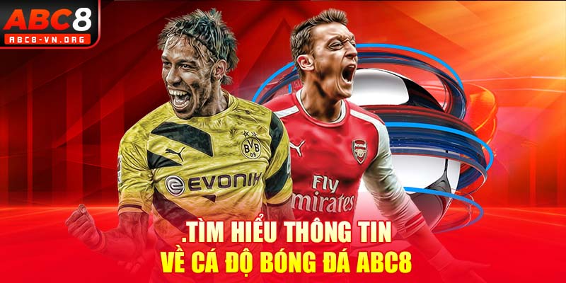 Tìm hiểu thông tin về cá độ bóng đá ABC8