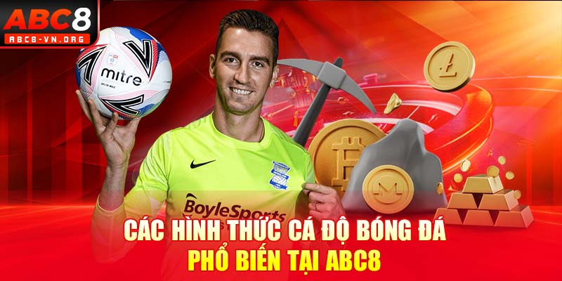 Các hình thức cá độ bóng đá phổ biến tại ABC8